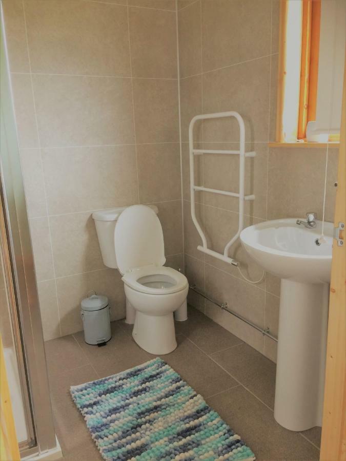 Maes Y Mor Apartment Llanarth  Ngoại thất bức ảnh